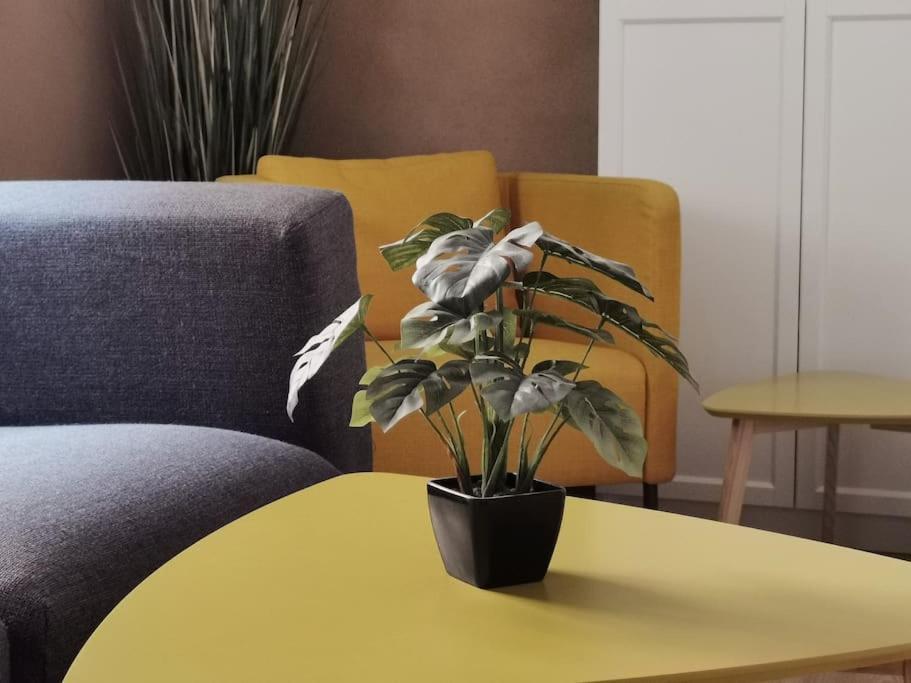 Ferienwohnung Im Bruehl แอร์ฟวร์ท ภายนอก รูปภาพ